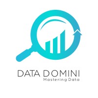 DATA DOMINI logo - Similar company to Witstudio