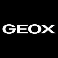 Geox logo - Similar company to Geox Analytics
