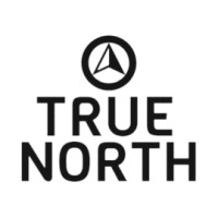 True North logo - Similar company to Delay Smartphones