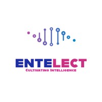 Entelect Techsol LLP logo - Similar company to Techwave Ventures