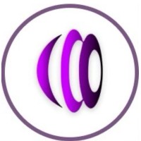 CaveHubs logo - Similar company to Gis Foundation