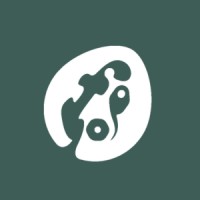 FrogFellows logo - Similar company to Techkicks