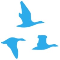 ADI Immigration logo - Similar company to Ausdirect Migration