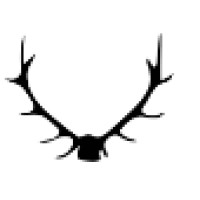 STAG - Men's