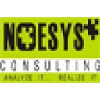 Noesys Consulting