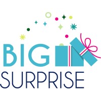 Big Surprise Chile logo - Similar company to Vanguard Tech
