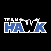 Team Hawk logo - Similar company to Team-Hawks