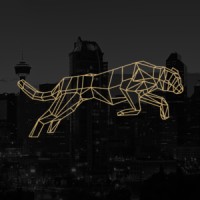 Jaguar Marketing Agency logo - Similar company to Am Pm Properties Inc