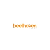 Beethoven Store logo - Similar company to Beethoven Project