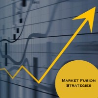 Market Fusion Strategies logo - Similar company to Shenzhen Super Visual Co., Ltd