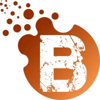 Bizcraft logo - Similar company to Execustaff Hr