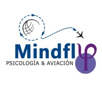 MindFly logo - Similar company to Camhera