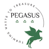 Pegasus Waste Management Pvt Ltd logo - Similar company to Arg - Auto Recycling Group