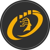 Onism Solution LLC. logo - Similar company to Onsim
