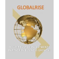 GlobalRise Capital Ltd logo - Similar company to Dmh Associates