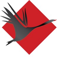 Black Swan Film and Video logo - Similar company to Ch Video