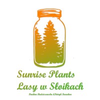 Sunrise Plants