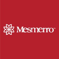 Mesmerro logo - Similar company to Sheczzar