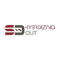 SD - Hybridizing Cut logo - Similar company to Audioworkx Group B.V.