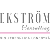 Ekström Consulting AB logo - Similar company to Arrivalguides - A Smartvel Company