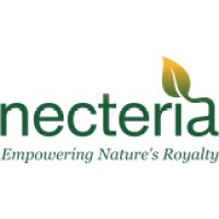 Necteria logo - Similar company to Mba Dost