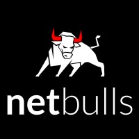 NETBULLS logo - Similar company to Silver Bullet Solutions Sp. Z O. O.