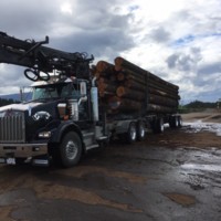 Wade MacGregor Trucking Ltd. logo - Similar company to First Quality C Packaging