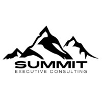Summit Executive Consulting LLC logo - Similar company to Retire With Swan