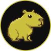 Capitoday logo - Similar company to Zenfrog Lab
