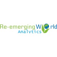 Re-emerging World Analytics logo - Similar company to Re-Emerging World