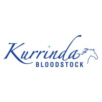 Kurrinda Bloodstock Syndications logo - Similar company to Wolvvs