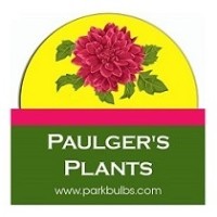 Paulger's Plants logo - Similar company to Alpine Truss