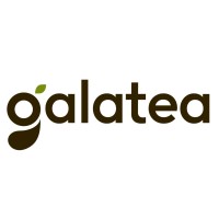 GALATEAGELATO logo - Similar company to Gippo - Italian Radical Thinking In Food