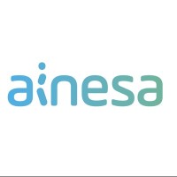 Ainesa Technologies logo - Similar company to Savage Digital