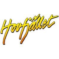 Hovfjällets skidanläggning, Torsby logo - Similar company to Larssonbuss