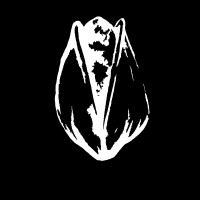 Pistachio the band, LLC logo - Similar company to Café Pistachio