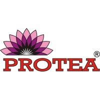 Protea logo - Similar company to Protea Ltd