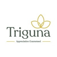 Triguna Projects Pvt Ltd logo - Similar company to Firstcred Advisory Private Limited