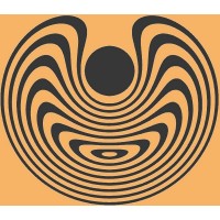 Flucleus Designs logo - Similar company to Karigar Design Studio