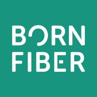 BornFiber logo - Similar company to Fastspeed A/S