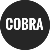 COBRA FIRING SYSTEMS, LLC logo - Similar company to Integrated Technologies - Itech