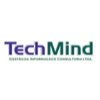 Techmind Gestão Da Informação E Consultoria Ltda.