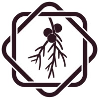 Cedar Springs Title Company