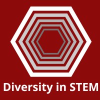 Diversity in STEM logo - Similar company to Snap Ark Global