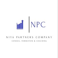 NIYA PARTNERS COMPANY logo - Similar company to Seiton Consulting