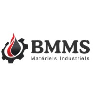 BMMS logo - Similar company to Selfa