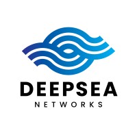 Deepsea Networks logo - Similar company to Twenty7 Connect