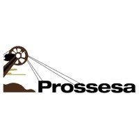 PROSSESA Proveedora de suplementos y servicios S.A. de C.V. logo - Similar company to Constructora Docsa S.A. De C.V.