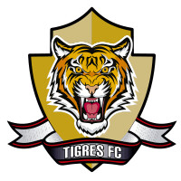 Tigres Fútbol Club logo - Similar company to Fortaleza Ceif