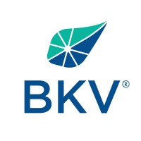 BKV Corporation logo - Similar company to E3 Dynamics, Llc